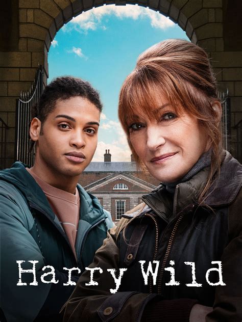 Harry Wild | Rotten Tomatoes