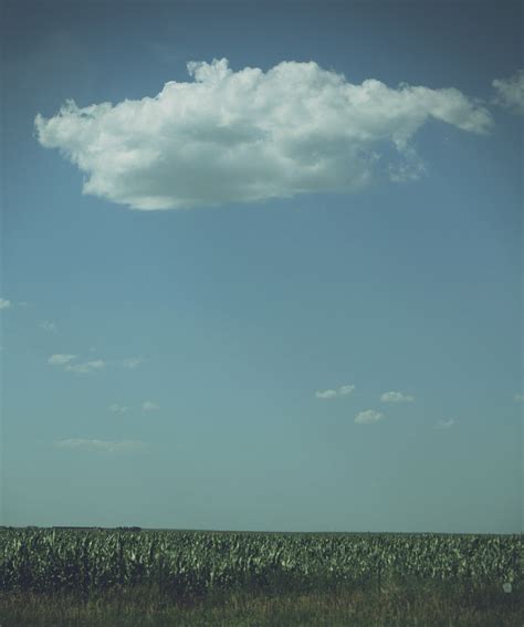 Midwest Cornfield With Cloud Free Stock Photo - Public Domain Pictures