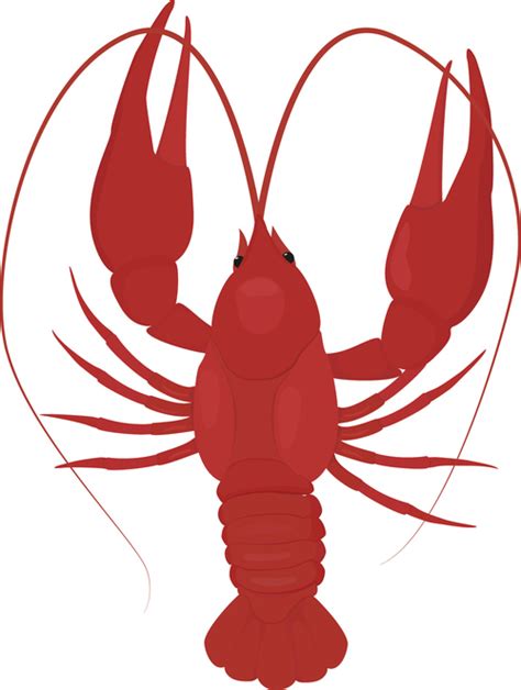 Lobster Silhouette Vector at Vectorified.com | Collection of Lobster ...