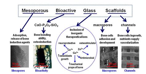 3D Printing Bioactive Glass Scaffolds for Tissue Regeneration Mo-Sci ...