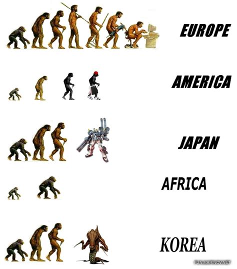 Evolution Of Man Chart