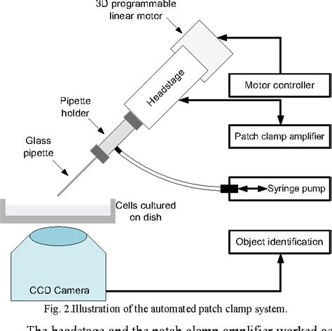 Figure 2 from Development of automated patch clamp system for electrophysiology | Semantic Scholar