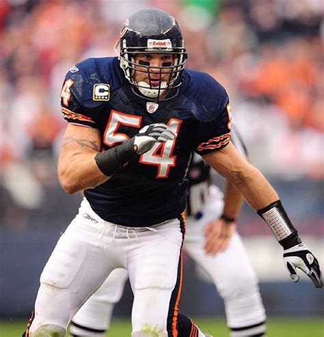 Baltimore Ravens Rumors: Brian Urlacher Option After Rolando McClain ...