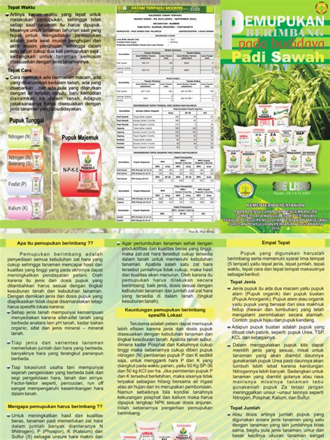 Pemupukan Berimbang Pada Budidaya Padi Sawah | PDF