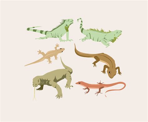 Reptile Vector at Vectorified.com | Collection of Reptile Vector free ...