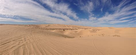 Glamis sand dunes | Glamis, Favorite places, Natural landmarks