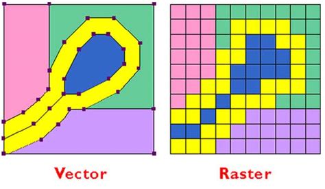 Guide to Raster vs Vector for Print & Design