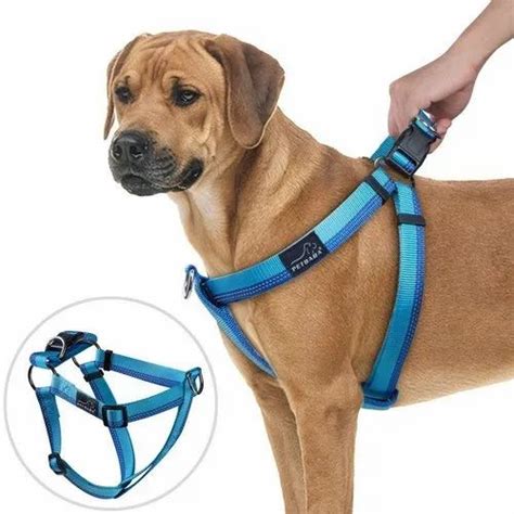 Nylon Dog Harness at Rs 130/piece | Dog Harness in Kanpur | ID: 22374954888