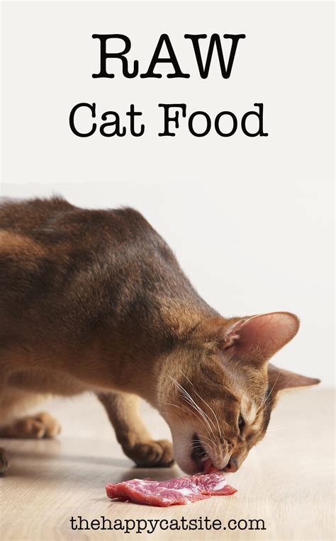 Raw Cat Food - How To Safely Feed Your Kitty A Raw Diet