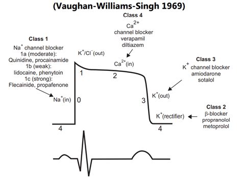 Mechanism Of Action Of Antiarrhythmic Drugs