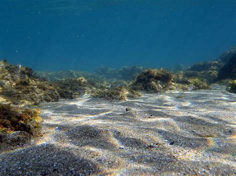 underwater sea floor, sea bottom, sea life, fishes, greek … | Flickr
