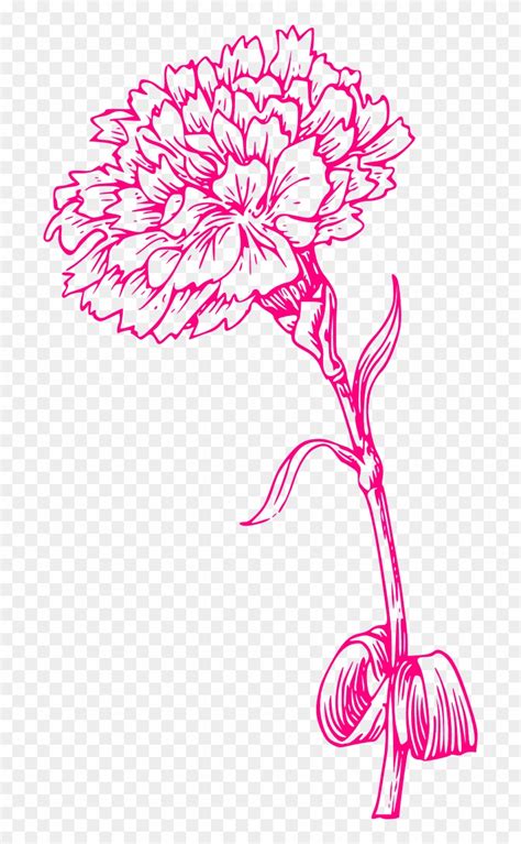 pink carnation clip art 10 free Cliparts | Download images on Clipground 2024