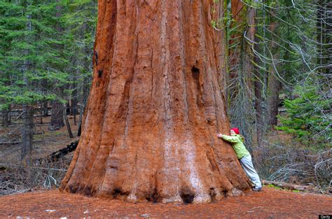 15 Photos That Show Why Yosemite Matters | HuffPost Impact