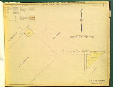 Angelina County Timber Type Maps | The History Center