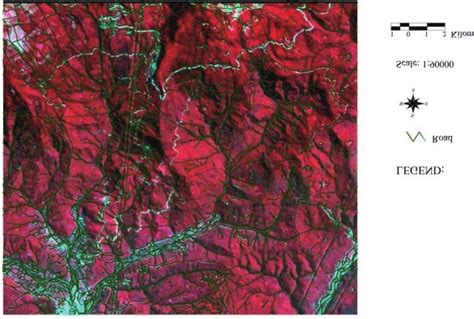 Image after geometric and orthorectification correction. | Download ...