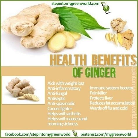 Step Into My Green World | Ginger benefits, Health benefits of ginger, Raw food recipes