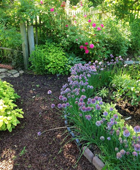 Pin on Deck Patio Garden ideas for Mike | Vegetable garden design, Herb garden design, Herb garden