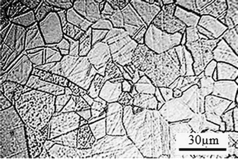 Microstructure image of surface of AISI 316L austenitic stainless steel... | Download Scientific ...