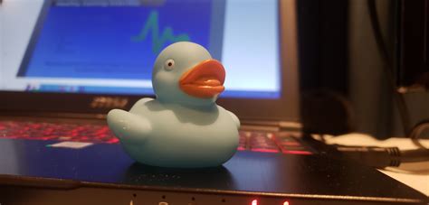 Rubber Duck Debugging: History and Benefits