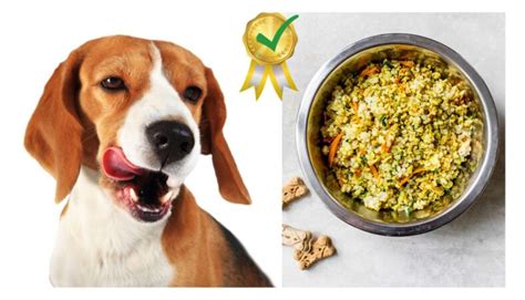 4 Best Allergy-Friendly Homemade Dog Food Recipes - Rocky Kanaka