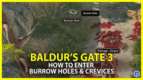 How To Enter Burrow Holes & Crevices In Baldur's Gate 3 (BG3)