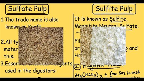 Sulfate Pulp Vs Sulfite Pulp | Comparison of Chemical Pulping process for Cellulose Fibers ...