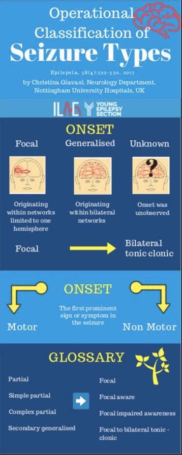 Operational Classification of Seizure Types (2017) // International League Against Epilepsy