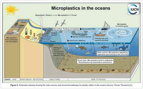 pollution-and-effects-World-plastics-production | Marine environment ...