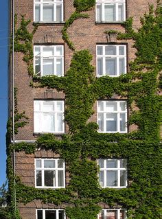 Green wall - Copenhagen | Sortedan Dossering, Copenhagen (20… | Flickr