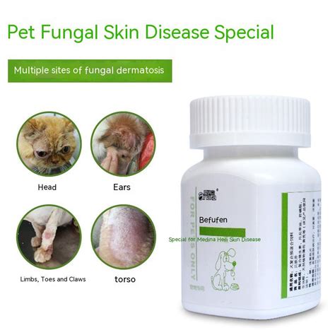 Anti-fungal tablets oral medication treatment pet skin disease cat ...