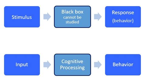 Cognitive Learning Theory - The Peak Performance Center