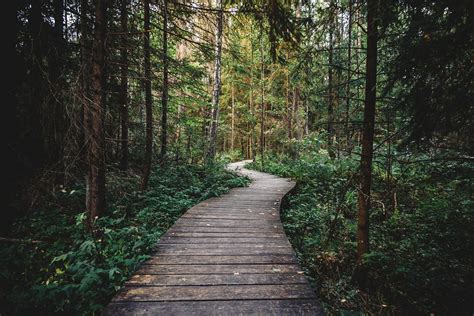 Resource Management: Lost in the Woods? Here is Your Way Out | MPUG