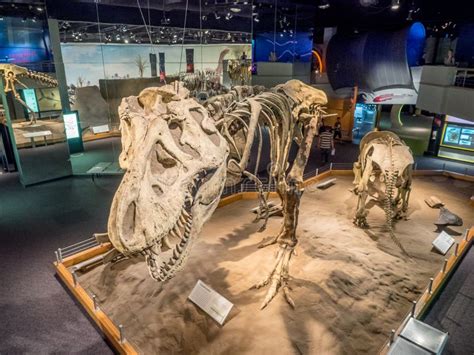 Dinosaur Exhibits at Royal Tyrrell Museum in Drumheller, Canada Editorial Photo - Image of flock ...