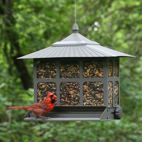 Perky-Pet® Squirrel-Be-Gone II Feeder