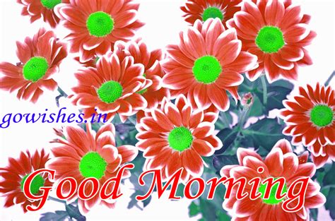 New Good Morning Gif - Name Of Flower In Arabic (#176488) - HD ...