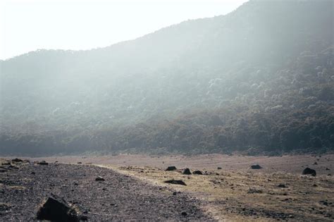 Premium Photo | Photo from the gunung gede national park square