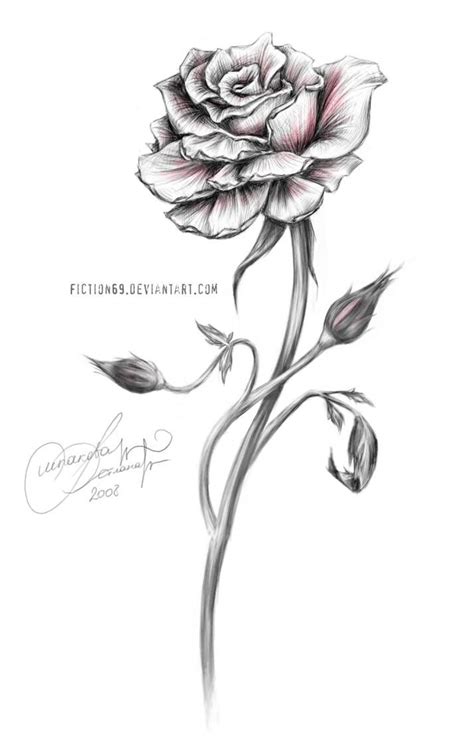 Red Rose by Fiction69 on DeviantArt | Rose sketch, Rose drawing tattoo, White rose tattoos