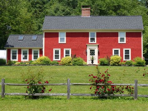 Red house rose bush stock photo. Image of door, windows - 20024324