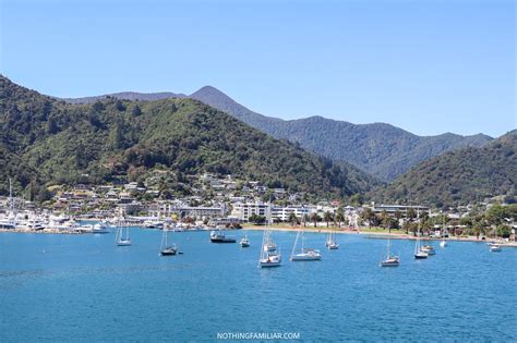 6 Can't Miss Things to do in Picton New Zealand