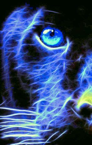 The blue panther | Panther, Animals, Cats