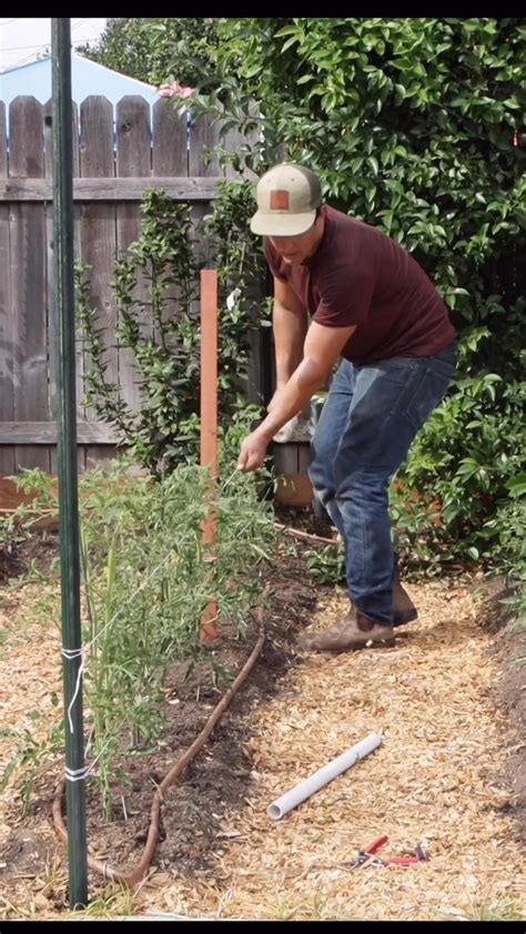 Cosuri de compostare bokashi pentru deseuri biodegradabile – Artofit