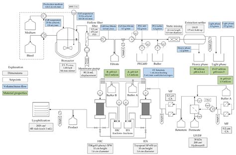 Monoclonal Antibody Production Process Flow Diagram