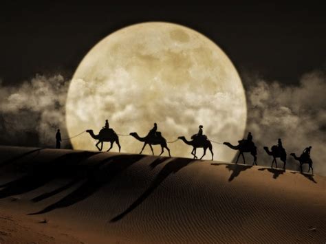 Arabian Nights – Academy of Fragrance Alchemy