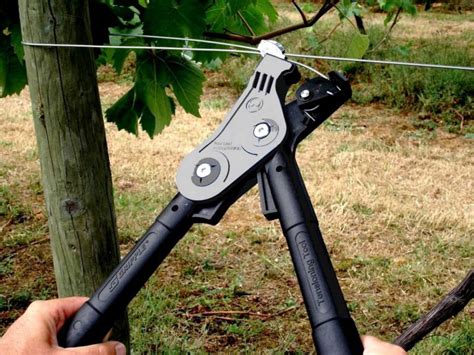 Wire Gripple Tensioning Tool | Ison's Nursery & Vineyard