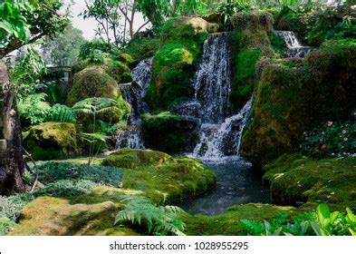 Green Forest Waterfall Stock Photo 1028955295 | Shutterstock