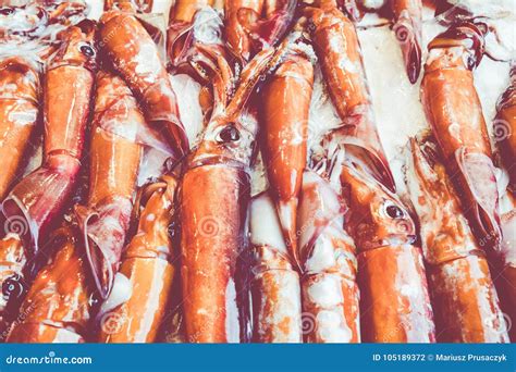 Fresh Squid Seafood for Sale at a Market in Palermo, Sicily, Italy Stock Photo - Image of eating ...