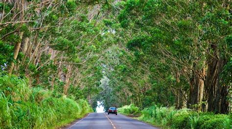 Visit Koloa: Best of Koloa, Hawaii Travel 2024 | Expedia Tourism