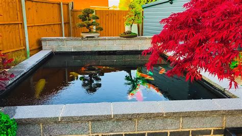 Backyard Pond Modern Koi Pond Ideas - Goimages Bay