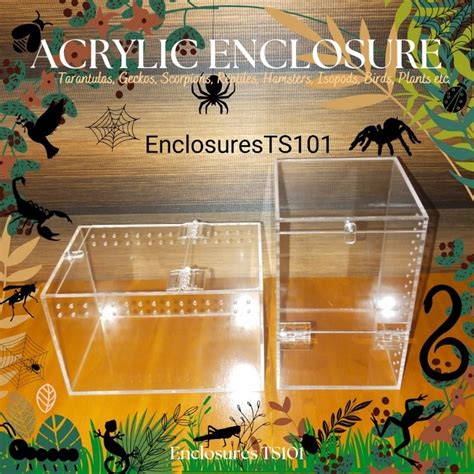 Acrylic Enclosure Tarantula, Isopods, Hamsters, Hatchling Snakes, Gecko Exotic (Freebies ) Big ...