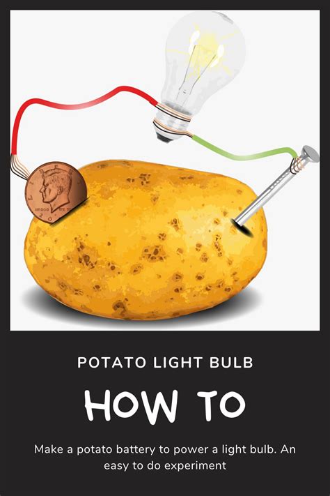 Potato Light Bulb Experiment Materials